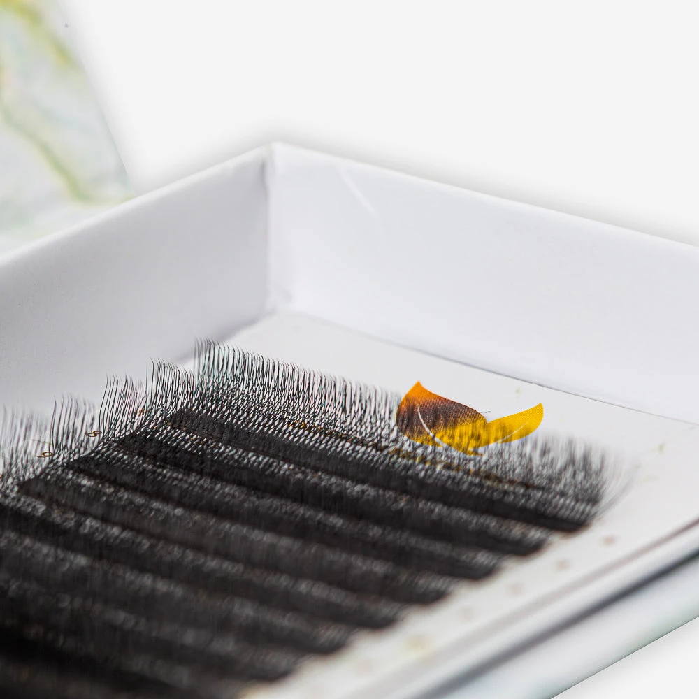 Extensiones De Pestañas Fibras Tecnológicas W 4D 3 Extensiones De Pestañas Fibras Tecnológicas W 4D - Imagen 3