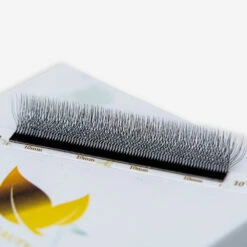 Extensiones De Pestañas Fibras Tecnológicas W 6D -Seena Owell Ventas 04062024 FG1A9808 Mejorado NR Editar 644e7999 4716 4444 b5b9 512f4e6cc862