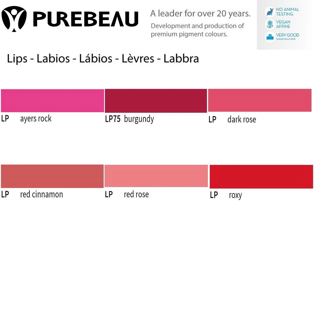 Pigmento Labios Micropigmentación 2 Pigmento Labios Micropigmentación - Imagen 2