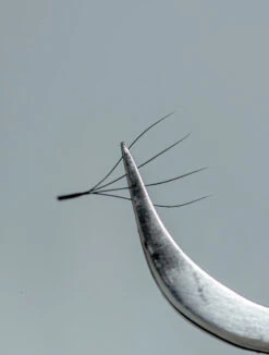 Extensiones De Pestañas Fibras Tecnológicas W 4D 10 Extensiones De Pestañas Fibras Tecnológicas W 4D -Seena Owell Ventas sesionconvictoria 49