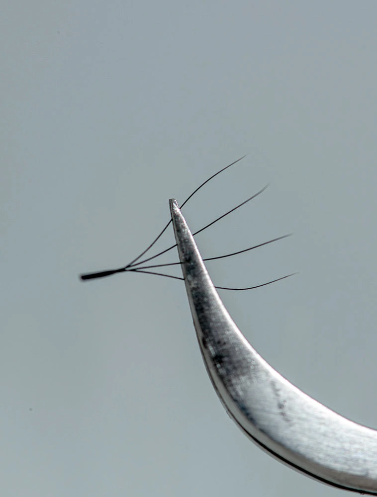 Extensiones De Pestañas Fibras Tecnológicas W 4D 5 Extensiones De Pestañas Fibras Tecnológicas W 4D - Imagen 5